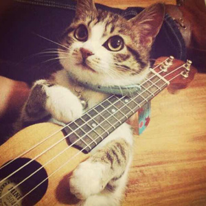 美女的隐私�9�2�1�5免费视频A片
